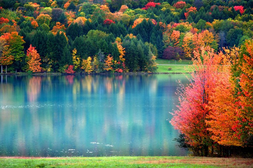 Discover the Magic of Travel Maine in the Fall