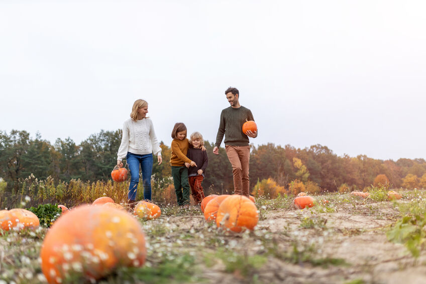 family in pumpkin patch 